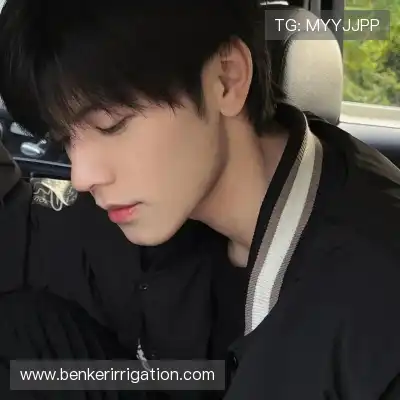 刘慧笛